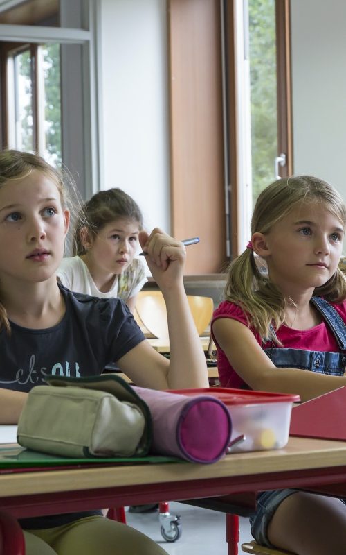 Attentive pupils at classroom Attentive pupils at classroom