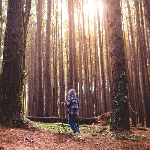 Kid in forest Kid in forest