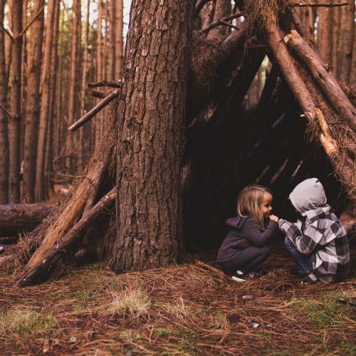 Kids playing in a fort in the woods