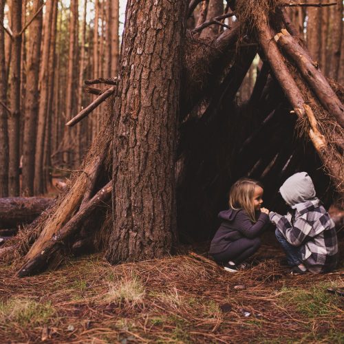 Kids playing in a fort in the woods Kids playing in a fort in the woods